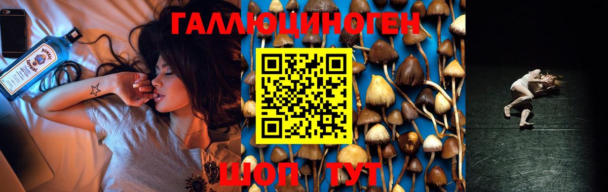 Псилоцибиновые грибы MAGIC MUSHROOMS Вышний Волочёк